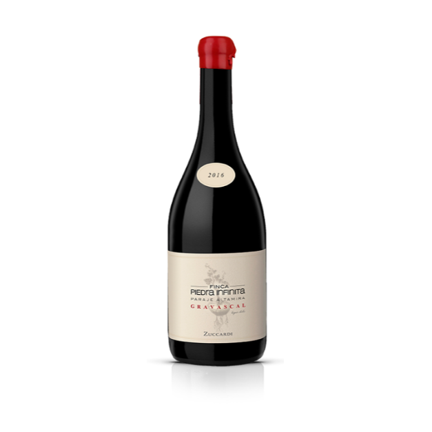 Familia Zuccardi, Finca Piedra Infinita Paraje Altamira Gravascal, Uco Valley