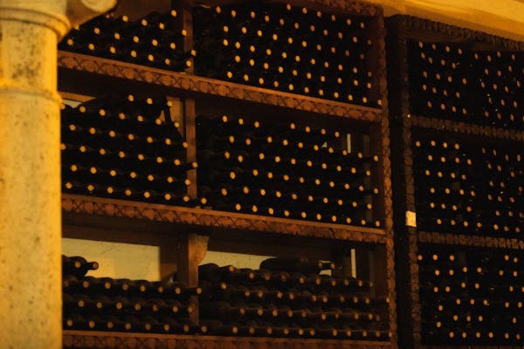 How to Store Investment Wines