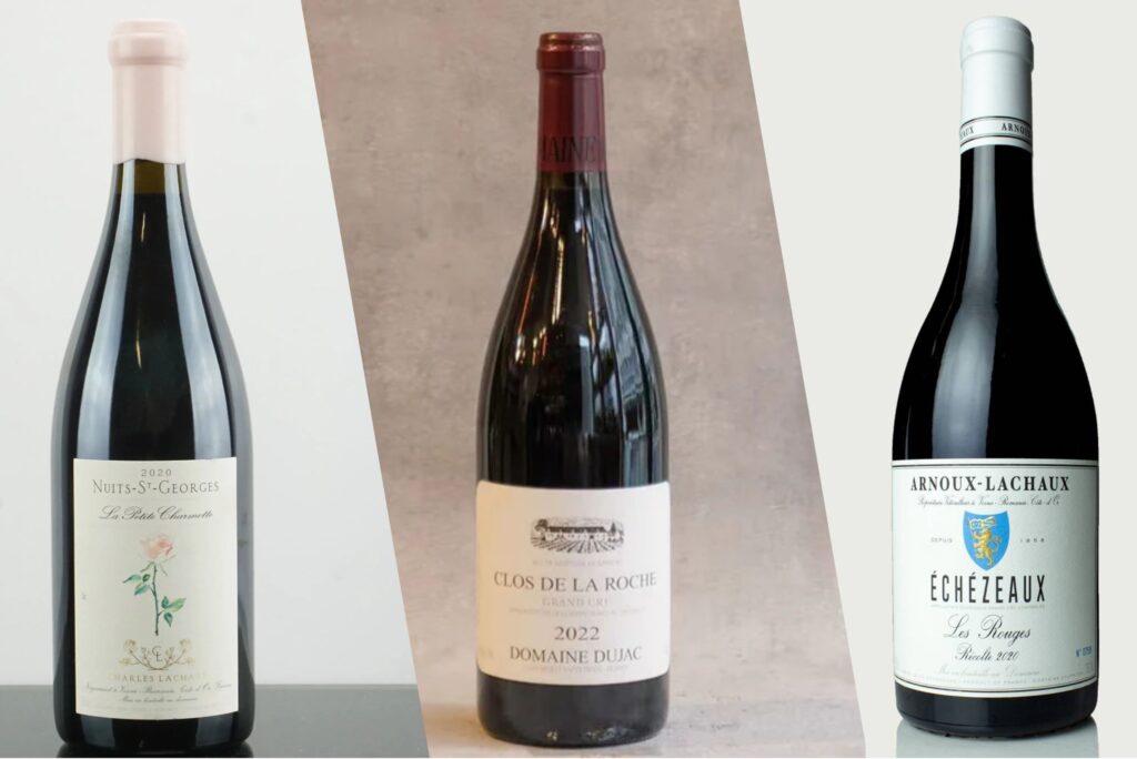 Investment Wines 2025